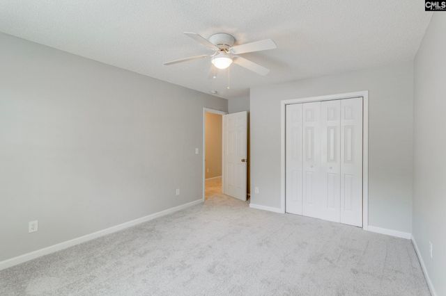 5 REDBRUSH Court, Chapin, SC 29036