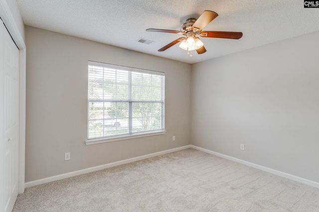 5 REDBRUSH Court, Chapin, SC 29036