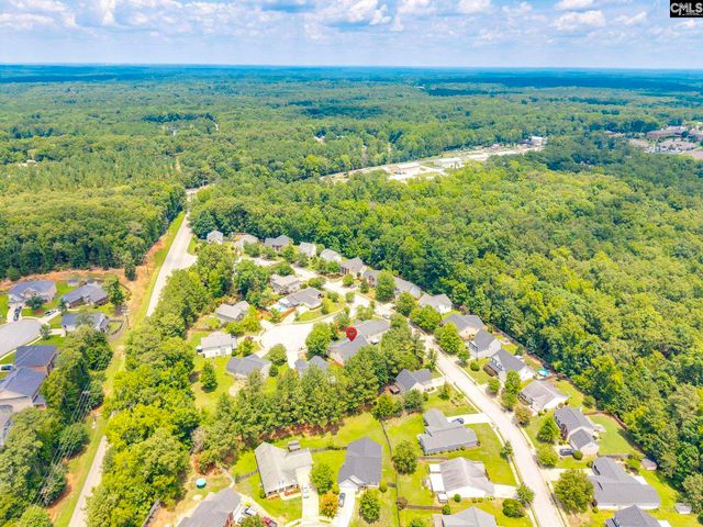 5 REDBRUSH Court, Chapin, SC 29036