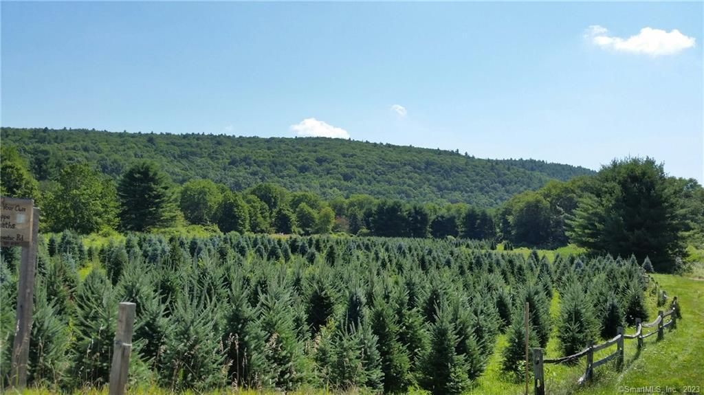 99 Old Yellow Mountain Road