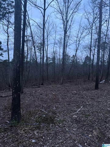 135 BIG CHIEF, Ohatchee, AL 36271