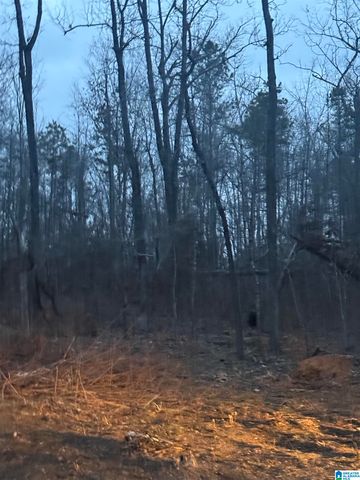 135 BIG CHIEF, Ohatchee, AL 36271