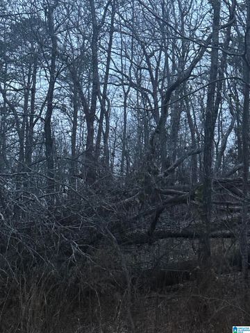 135 BIG CHIEF, Ohatchee, AL 36271