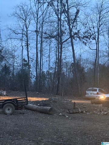 135 BIG CHIEF, Ohatchee, AL 36271