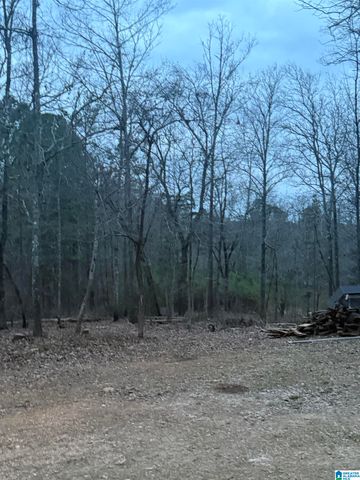 135 BIG CHIEF, Ohatchee, AL 36271