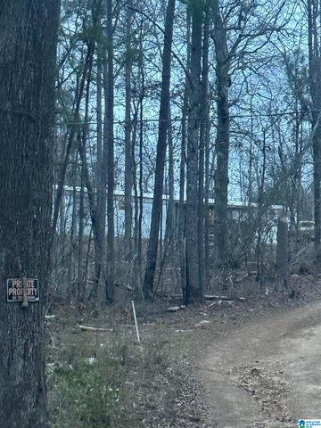 135 BIG CHIEF, Ohatchee, AL 36271