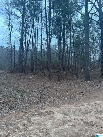 135 BIG CHIEF, Ohatchee, AL 36271