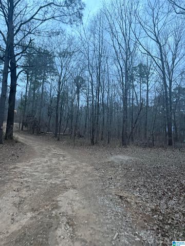 135 BIG CHIEF, Ohatchee, AL 36271