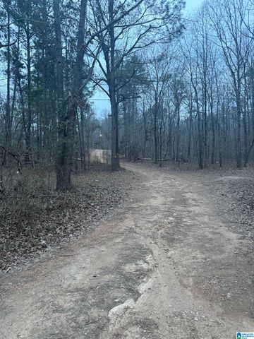 135 BIG CHIEF, Ohatchee, AL 36271