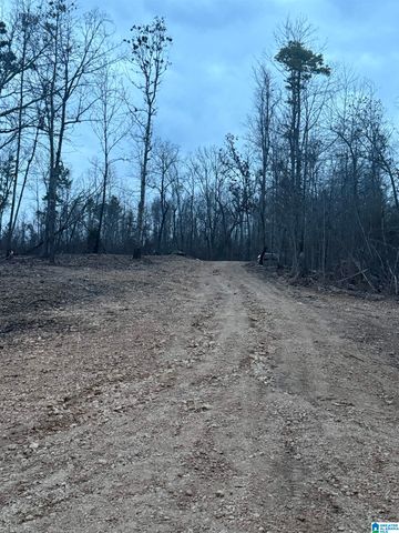 135 BIG CHIEF, Ohatchee, AL 36271