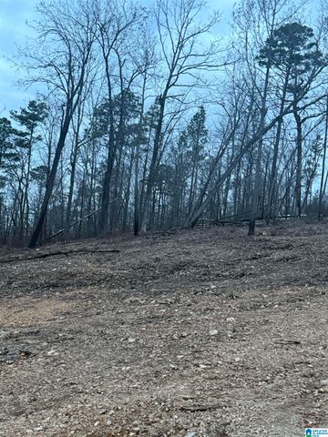 135 BIG CHIEF, Ohatchee, AL 36271