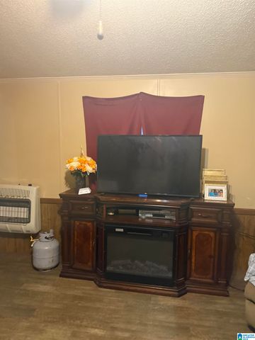 135 BIG CHIEF, Ohatchee, AL 36271