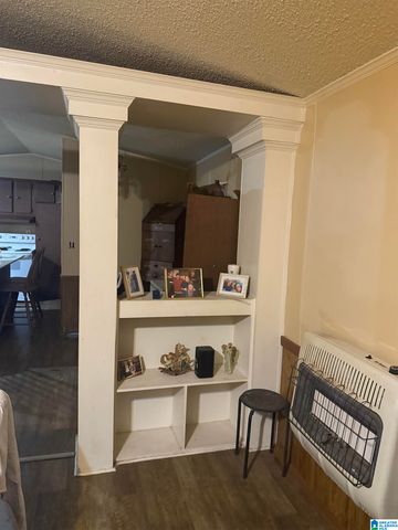 135 BIG CHIEF, Ohatchee, AL 36271