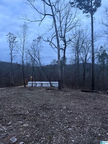 135 BIG CHIEF, Ohatchee, AL 36271