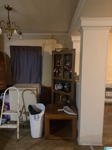 135 BIG CHIEF, Ohatchee, AL 36271