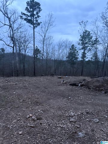 135 BIG CHIEF, Ohatchee, AL 36271