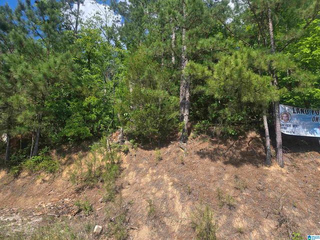 135 BIG CHIEF, Ohatchee, AL 36271