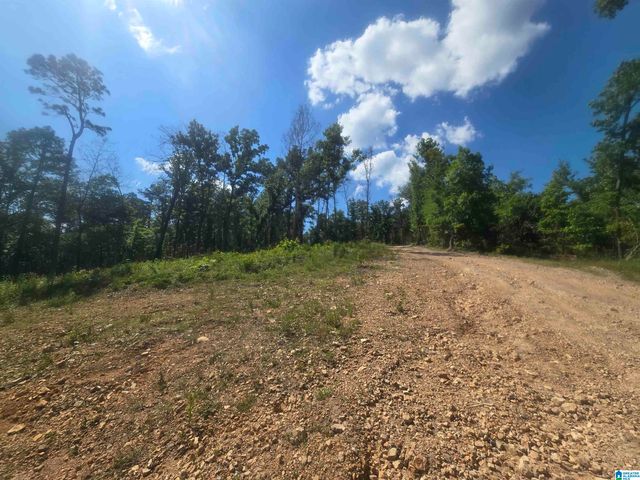 135 BIG CHIEF, Ohatchee, AL 36271