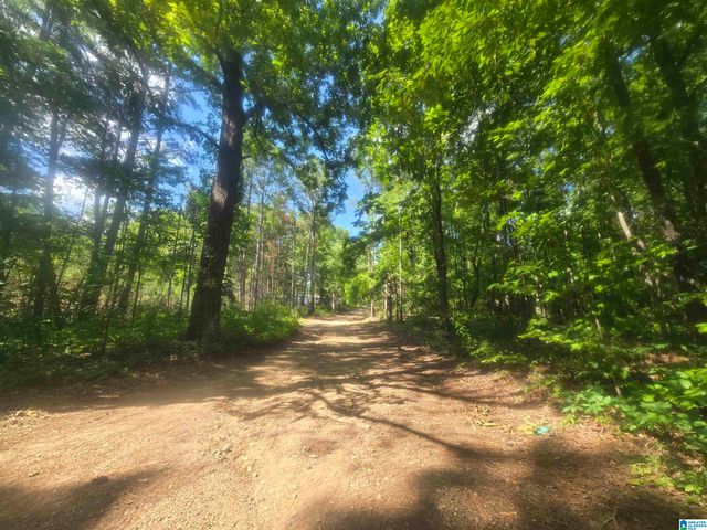 135 BIG CHIEF, Ohatchee, AL 36271