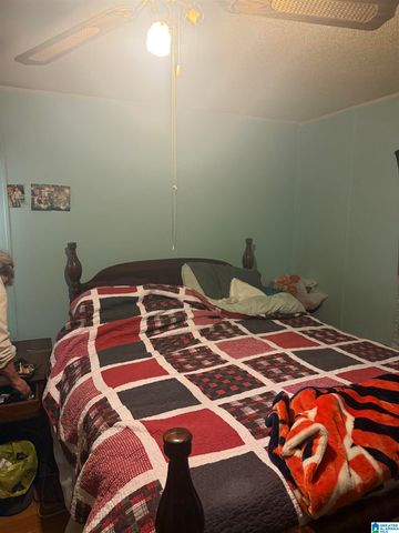 135 BIG CHIEF, Ohatchee, AL 36271