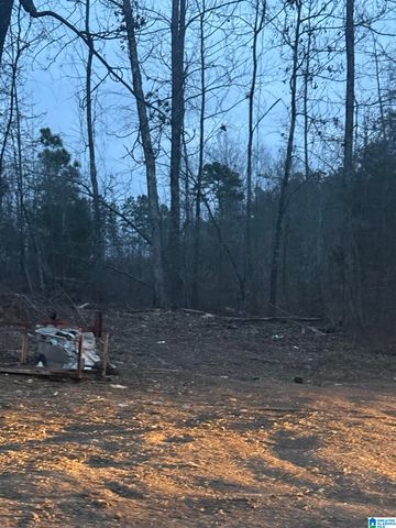 135 BIG CHIEF, Ohatchee, AL 36271