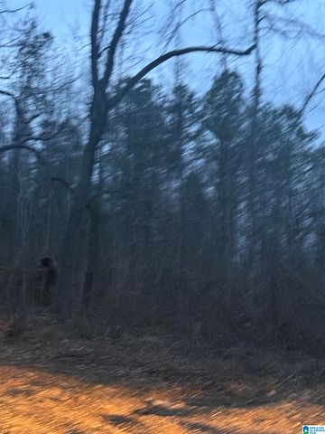 135 BIG CHIEF, Ohatchee, AL 36271