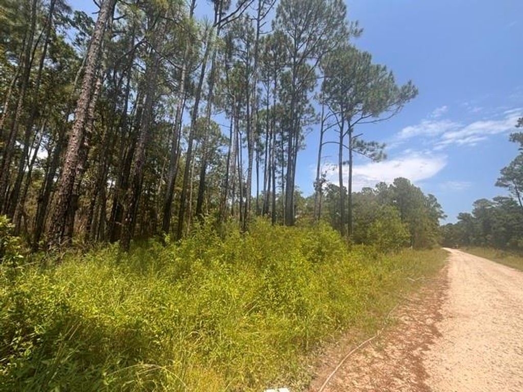 0 Dakota Drive, Coden, AL 36523 — exterior