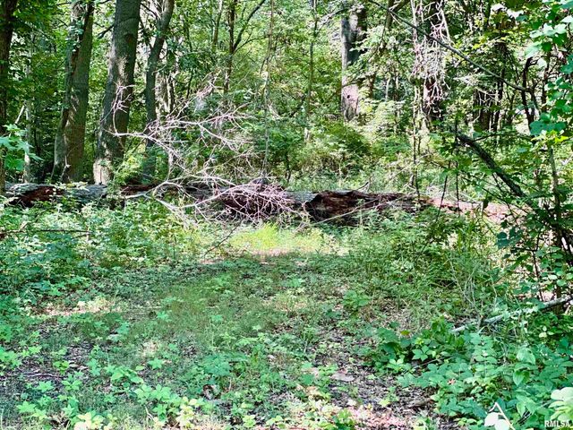 1409 W 5TH Street, West Frankfort, IL 62896