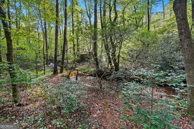 257 Foothills Drive, Cleveland, GA 30528