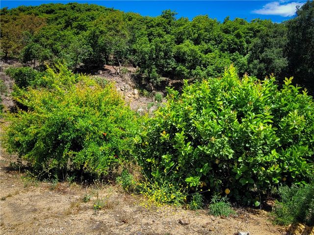 45100 La Cruz Drive, Temecula, CA 92590