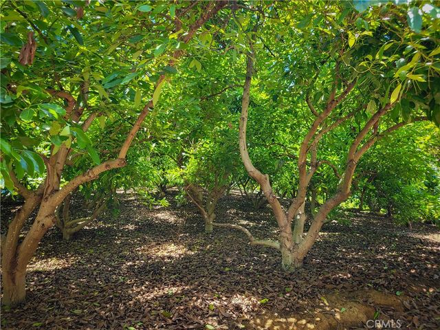 45100 La Cruz Drive, Temecula, CA 92590