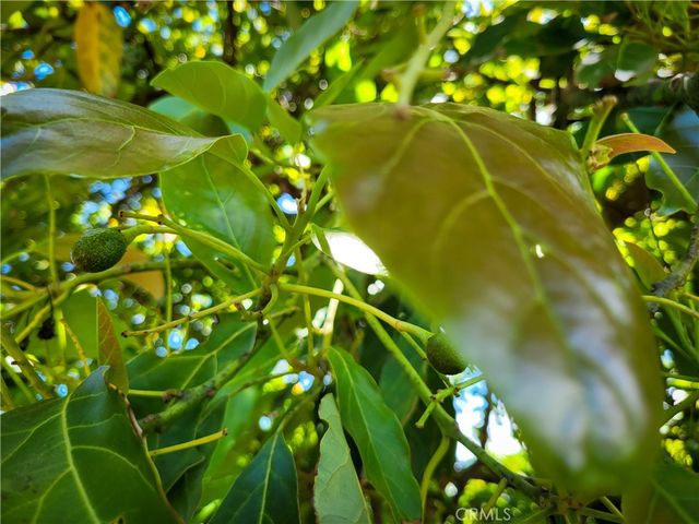 45100 La Cruz Drive, Temecula, CA 92590