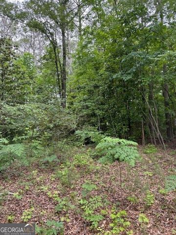 1829 Detroit Avenue, Atlanta, GA 30314