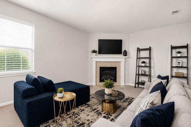 14415 Brunswick Place Drive, Houston, TX 77047