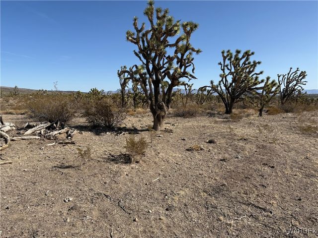 0 N Magnolia Drive, Dolan Springs, AZ 86441