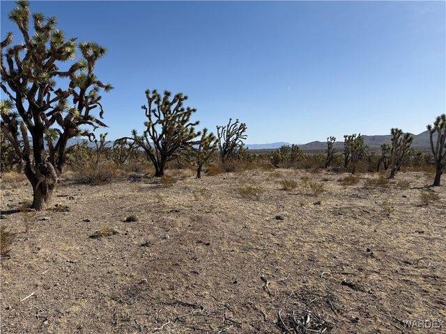 0 N Magnolia Drive, Dolan Springs, AZ 86441