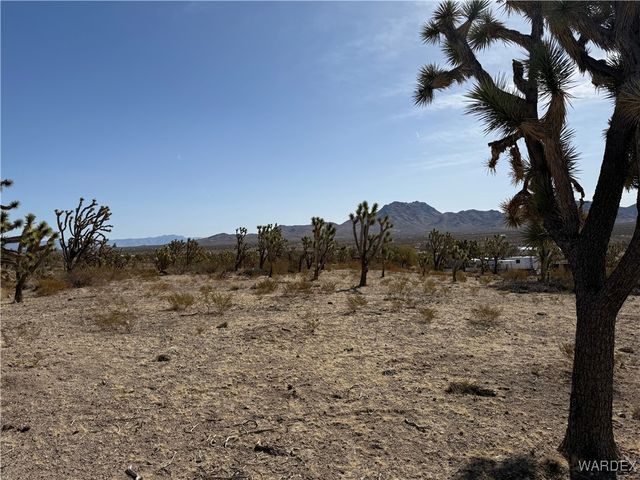 0 N Magnolia Drive, Dolan Springs, AZ 86441