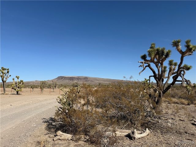 0 N Magnolia Drive, Dolan Springs, AZ 86441