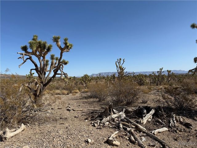 0 N Magnolia Drive, Dolan Springs, AZ 86441