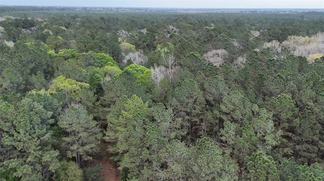 TBD Sh 146 South, Livingston, TX 77351