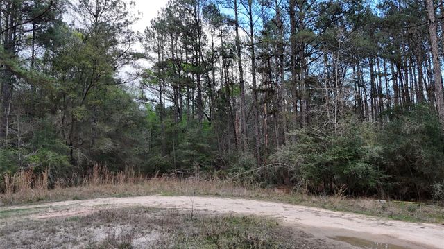 TBD Sh 146 South, Livingston, TX 77351