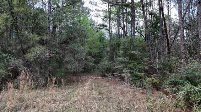 TBD Sh 146 South, Livingston, TX 77351