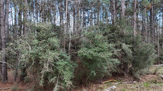 TBD Sh 146 South, Livingston, TX 77351