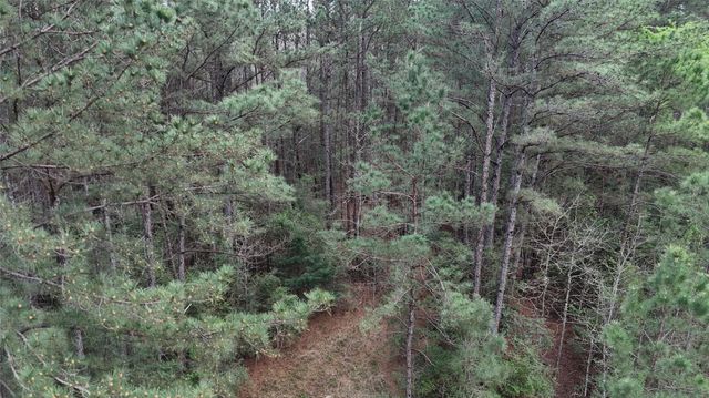 TBD Sh 146 South, Livingston, TX 77351