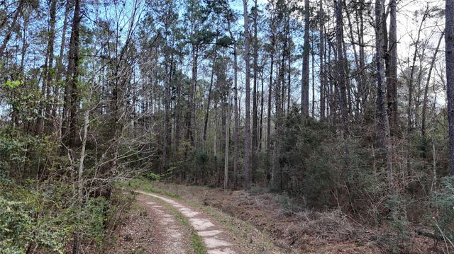 TBD Sh 146 South, Livingston, TX 77351