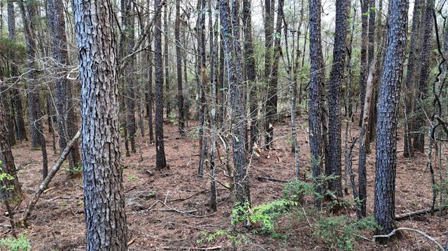 TBD Sh 146 South, Livingston, TX 77351