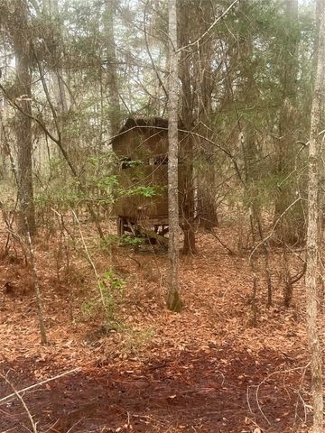 TBD Sh 146 South, Livingston, TX 77351