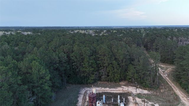 TBD Sh 146 South, Livingston, TX 77351