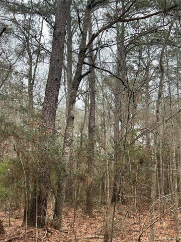 TBD Sh 146 South, Livingston, TX 77351