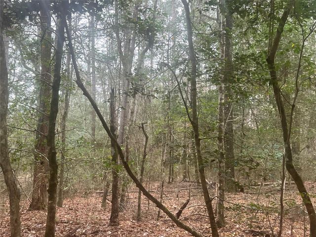 TBD Sh 146 South, Livingston, TX 77351